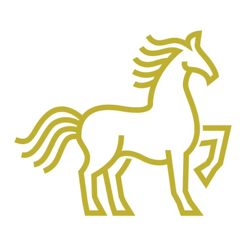 SHAMPOO DE COLA DE CABALLO SIN SAL NI PARABENOS 500ML JUNIO COSMETICS